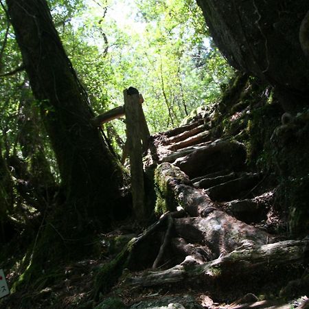 Yakunoyado Taguchi Hotel Yakushima  Luaran gambar