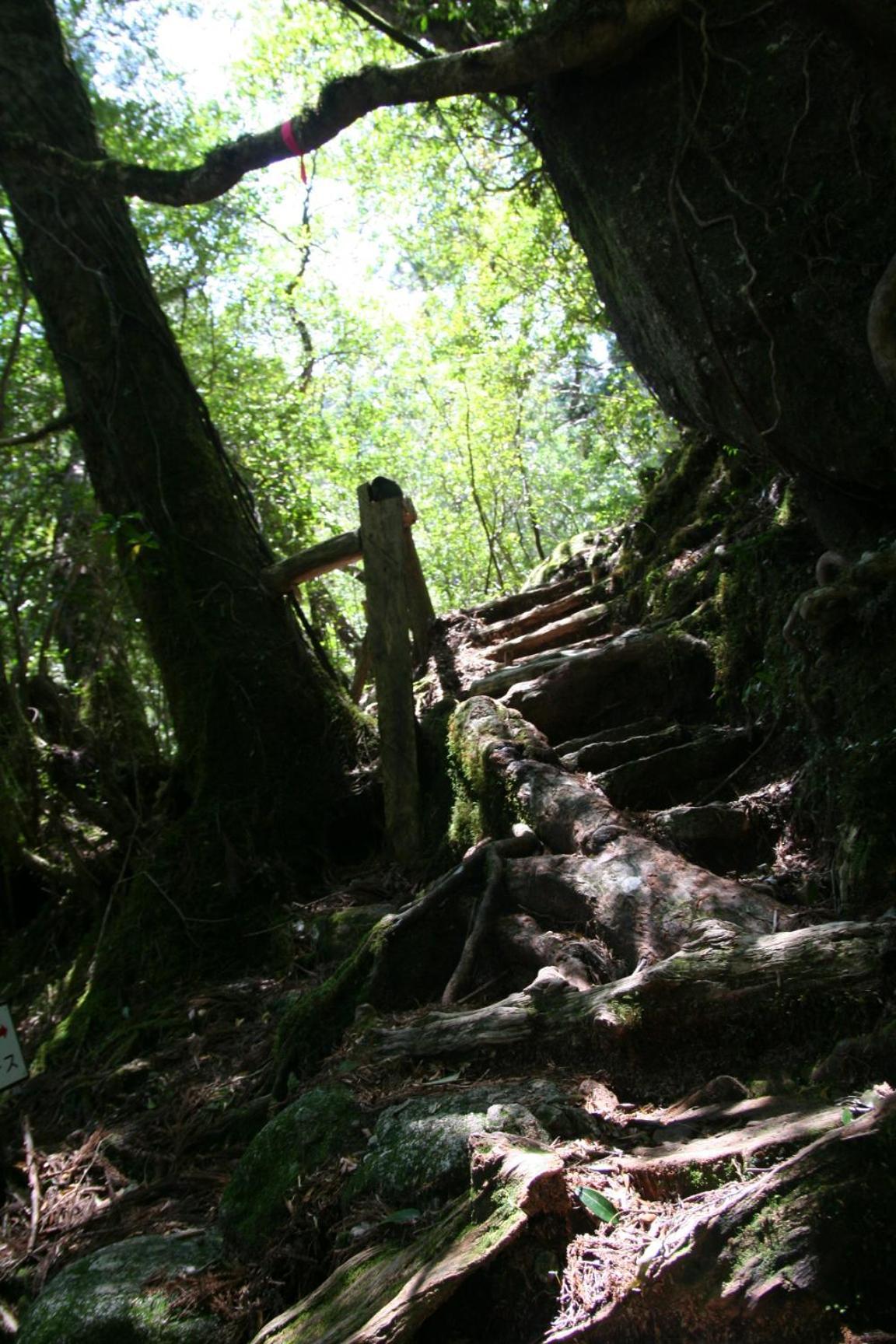 Yakunoyado Taguchi Hotel Yakushima  Luaran gambar