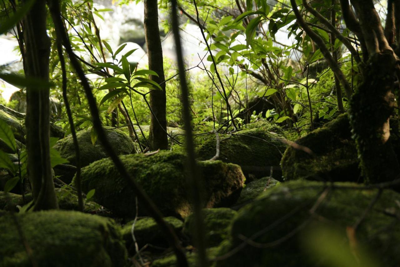 Yakunoyado Taguchi Hotel Yakushima  Luaran gambar